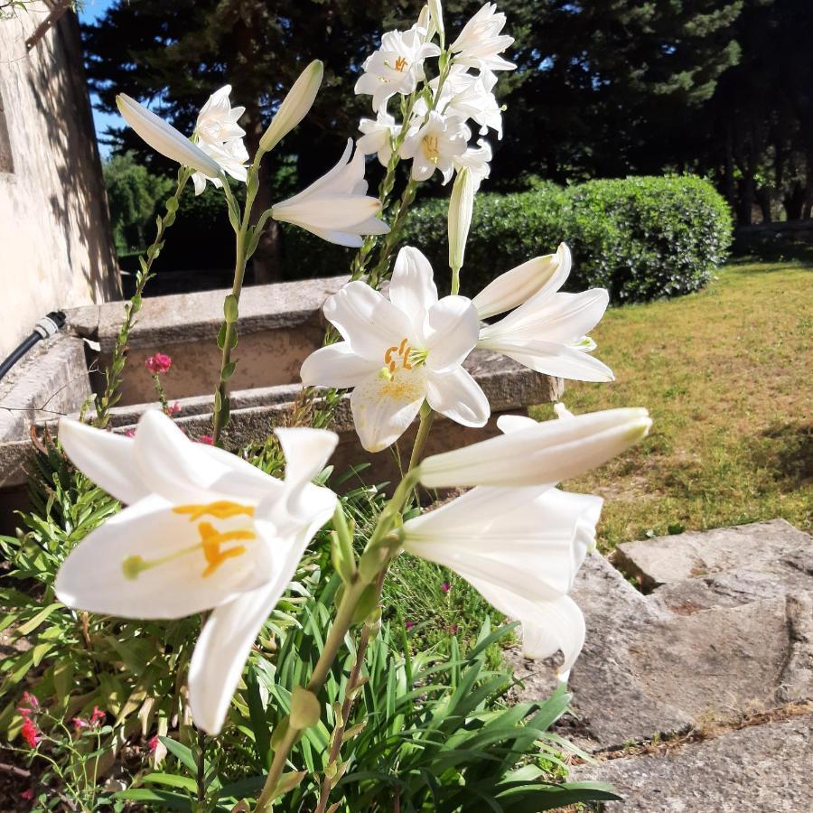 Mas De "La Garcine" Villa Mazan Exteriör bild